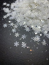 Load image into Gallery viewer, Snow Globe
