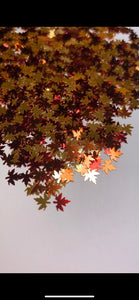Maple